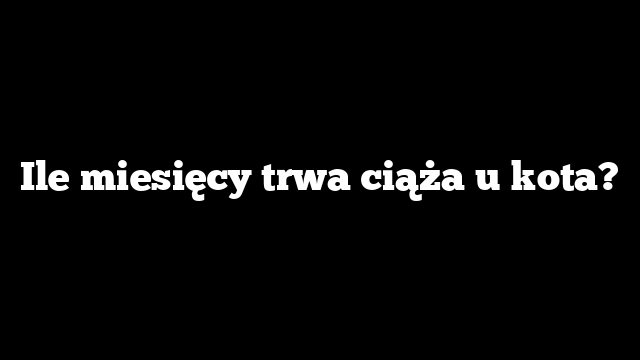 Ile miesięcy trwa ciąża u kota?