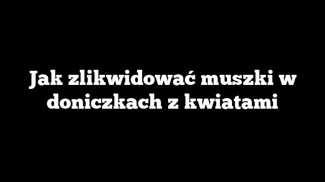 Jak zlikwidować muszki w doniczkach z kwiatami